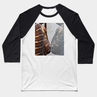 Reflection Baseball T-Shirt